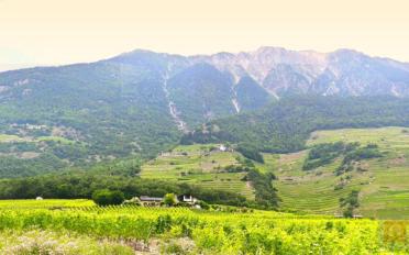 Terrain à bâtir - image - 1