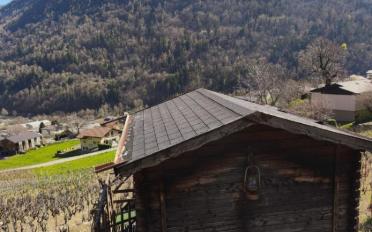 Agrarland ein Zimmer - image - 6