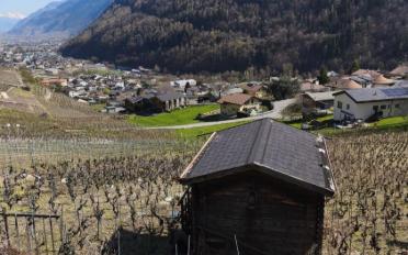 Agrarland ein Zimmer - image - 7