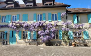 Maison 7.5 pièces - image - 2