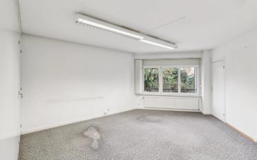 Ladenfläche - image - 7