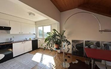 Wohnung 2.5 Zimmer - image - 1