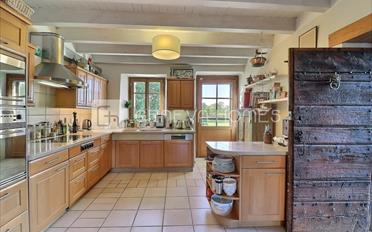 Einfamilienhaus 8 Zimmer - image - 6