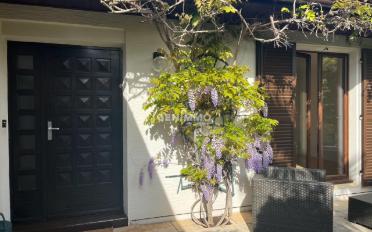 Single house - image - 1