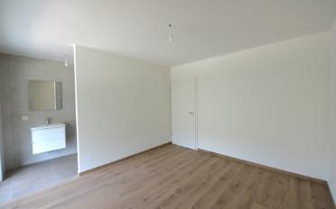 Wohnung 2.5 Zimmer - image - 4