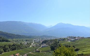 Villa 7 Zimmer - image - 10