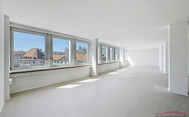 Ladenfläche - image - 1