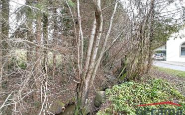 Wohnung 4.5 Zimmer - image - 8