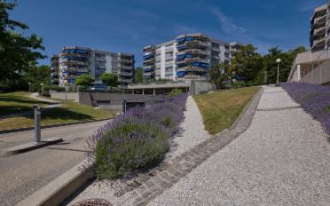 Wohnung 4.5 Zimmer - image - 6