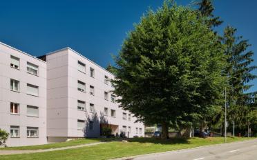 Wohnung 1.5 Zimmer - image - 1