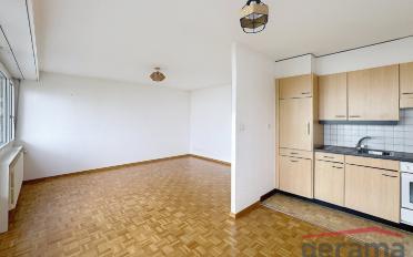 Apartment 1.5 rooms - image - 2