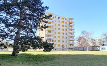 Wohnung 3.5 Zimmer - image - 6