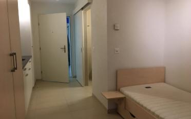Wohnung 1.5 Zimmer - image - 3