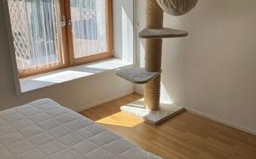 Wohnung 3.5 Zimmer - image - 3