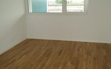 Wohnung 3.5 Zimmer - image - 2