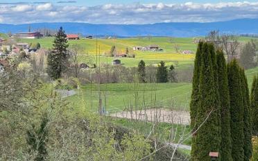 Wohnung 4.5 Zimmer - image - 4