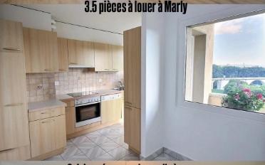Wohnung 3.5 Zimmer - image - 2