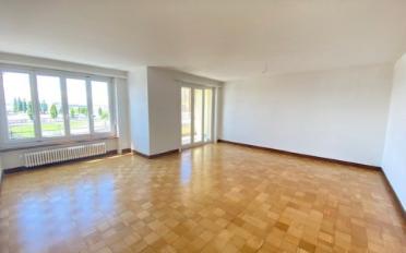 Wohnung 2.5 Zimmer - image - 3