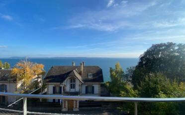 Wohnung 5.5 Zimmer - image - 10