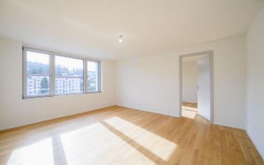 Wohnung 2.5 Zimmer - image - 5