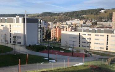 Appartement 2.5 pièces - image - 2