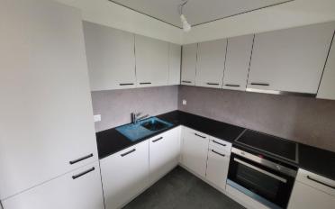 Wohnung 4.5 Zimmer - image - 1