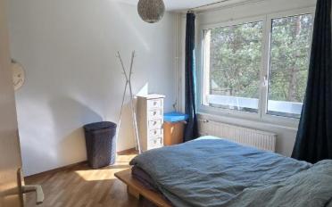 Appartement 2 pièces - image - 6