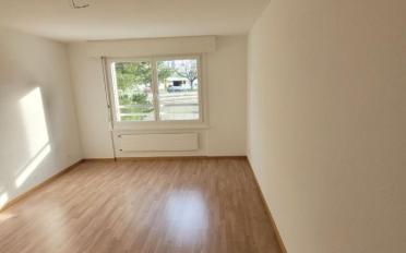Apartment 3.5 rooms - image - 4