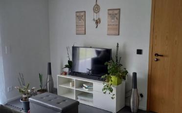 Appartement 1 pièce - image - 7