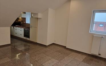 Wohnung ein Zimmer - image - 1