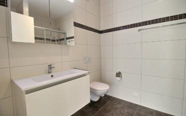 Wohnung 2.5 Zimmer - image - 5