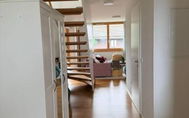 Wohnung 3.5 Zimmer - image - 3