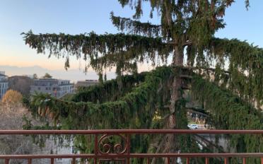 Wohnung ein Zimmer - image - 7