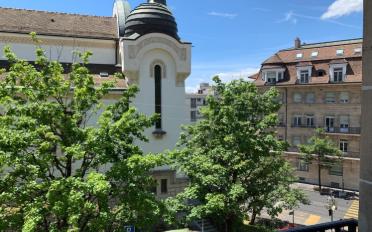 Wohnung 2 Zimmer - image - 8