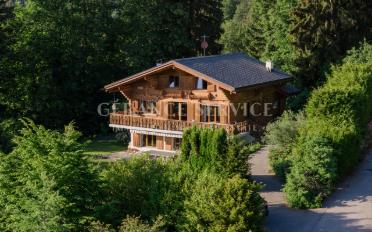 Chalet 6.5 pièces - image - 6