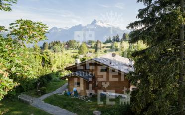 Chalet 6.5 pièces - image - 1
