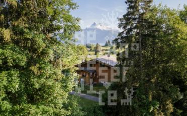 Chalet 6.5 pièces - image - 8