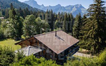 Chalet 5 rooms - image - 1