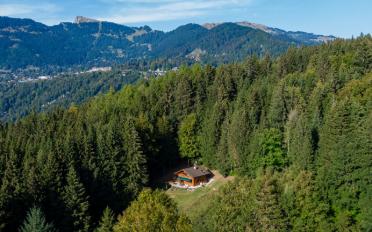 Chalet 4.5 pièces - image - 4
