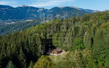 Chalet 4.5 pièces - image - 4