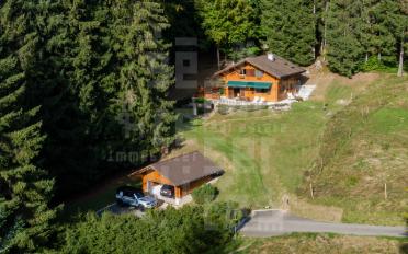 Chalet 4.5 pièces - image - 1