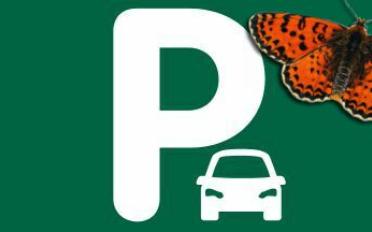 Tiefgarage - image - 1