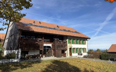 Wohnung 4.5 Zimmer - image - 11