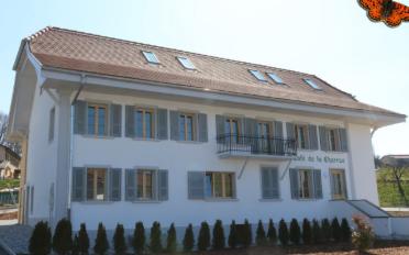 Wohnung 2.5 Zimmer - image - 1