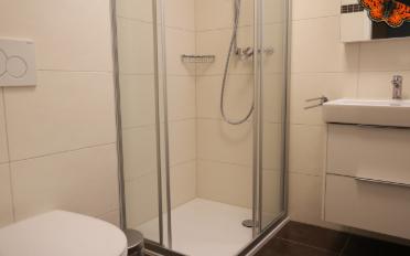 Furnished flat 2.5 rooms - image - 7