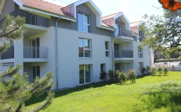Furnished flat 2.5 rooms - image - 10