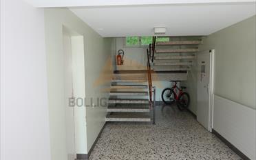 Wohnung 5.5 Zimmer - image - 4