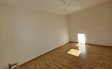 Wohnung 4.5 Zimmer - image - 7