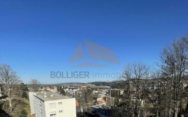 Wohnung 4.5 Zimmer - image - 1