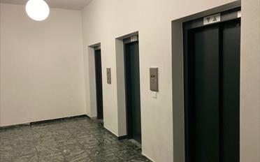 Appartement 1.5 pièces - image - 7